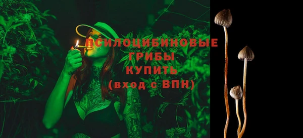 круглые Карпинск