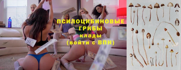 ALPHA PVP Касимов